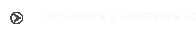 Consulenza e assistenza aziendale